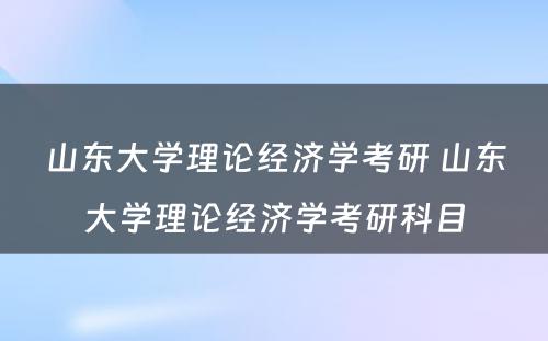 山东大学理论经济学考研 山东大学理论经济学考研科目