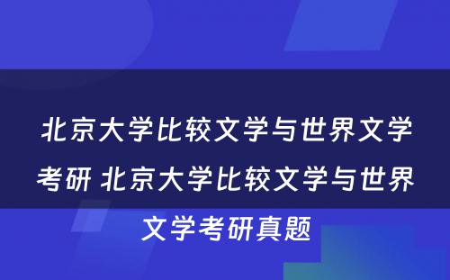 北京大学比较文学与世界文学考研 北京大学比较文学与世界文学考研真题