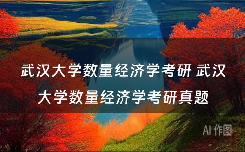 武汉大学数量经济学考研 武汉大学数量经济学考研真题