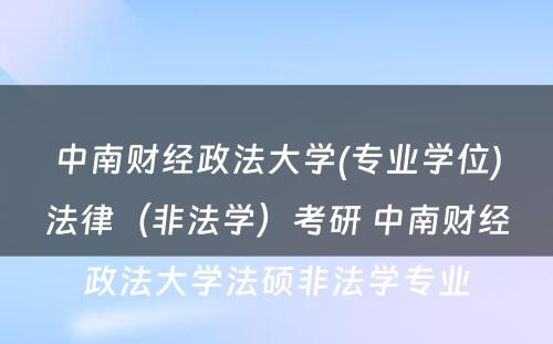 中南财经政法大学(专业学位)法律（非法学）考研 中南财经政法大学法硕非法学专业