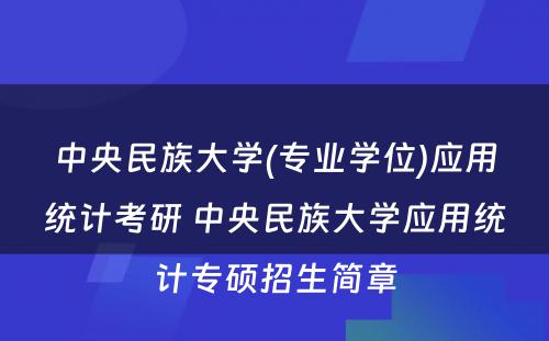 中央民族大学(专业学位)应用统计考研 中央民族大学应用统计专硕招生简章