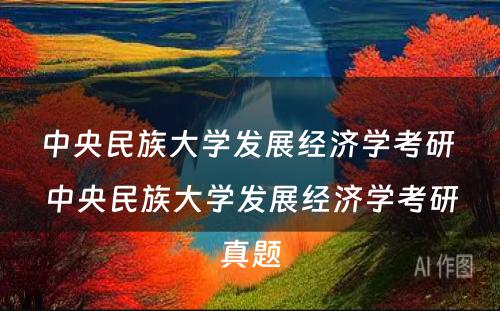 中央民族大学发展经济学考研 中央民族大学发展经济学考研真题