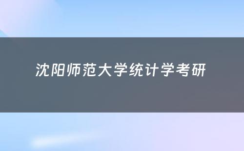 沈阳师范大学统计学考研 