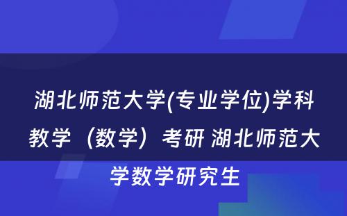 湖北师范大学(专业学位)学科教学（数学）考研 湖北师范大学数学研究生