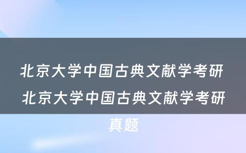 北京大学中国古典文献学考研 北京大学中国古典文献学考研真题