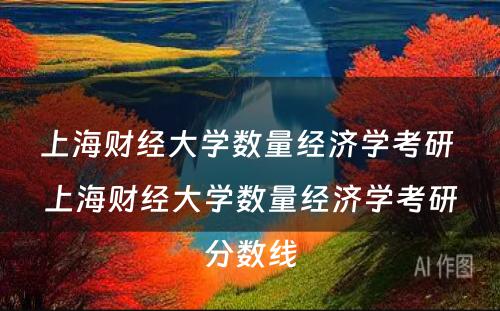 上海财经大学数量经济学考研 上海财经大学数量经济学考研分数线