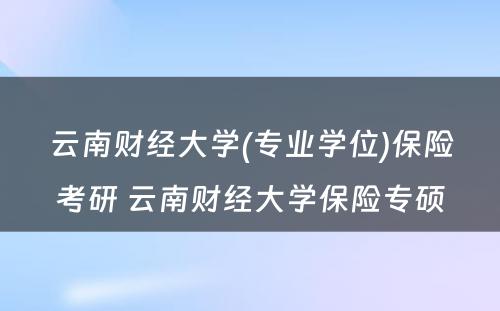 云南财经大学(专业学位)保险考研 云南财经大学保险专硕