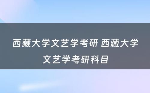 西藏大学文艺学考研 西藏大学文艺学考研科目