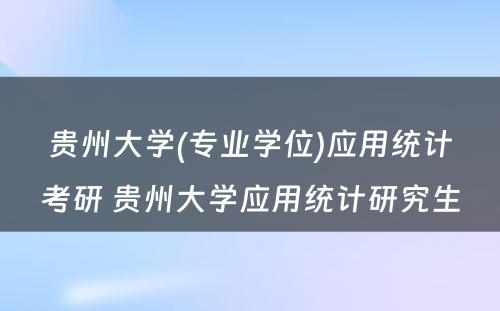 贵州大学(专业学位)应用统计考研 贵州大学应用统计研究生