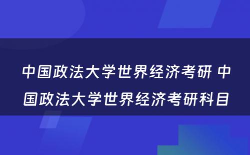 中国政法大学世界经济考研 中国政法大学世界经济考研科目