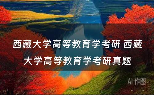 西藏大学高等教育学考研 西藏大学高等教育学考研真题