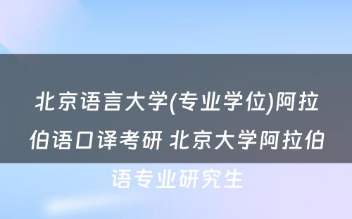 北京语言大学(专业学位)阿拉伯语口译考研 北京大学阿拉伯语专业研究生