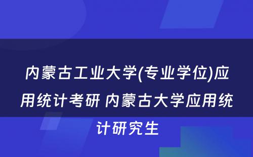 内蒙古工业大学(专业学位)应用统计考研 内蒙古大学应用统计研究生