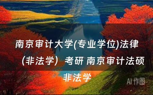 南京审计大学(专业学位)法律（非法学）考研 南京审计法硕非法学