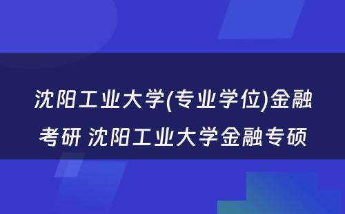 沈阳工业大学(专业学位)金融考研 沈阳工业大学金融专硕