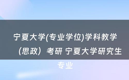 宁夏大学(专业学位)学科教学（思政）考研 宁夏大学研究生专业