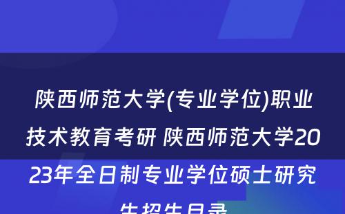 陕西师范大学(专业学位)职业技术教育考研 陕西师范大学2023年全日制专业学位硕士研究生招生目录