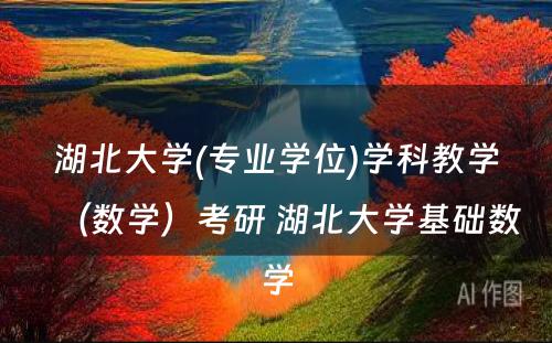 湖北大学(专业学位)学科教学（数学）考研 湖北大学基础数学