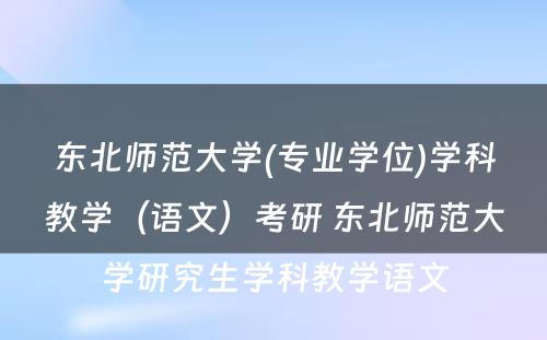 东北师范大学(专业学位)学科教学（语文）考研 东北师范大学研究生学科教学语文