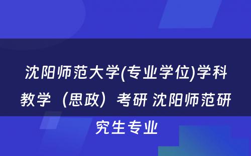 沈阳师范大学(专业学位)学科教学（思政）考研 沈阳师范研究生专业