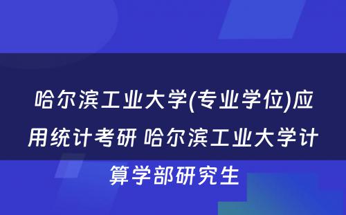 哈尔滨工业大学(专业学位)应用统计考研 哈尔滨工业大学计算学部研究生