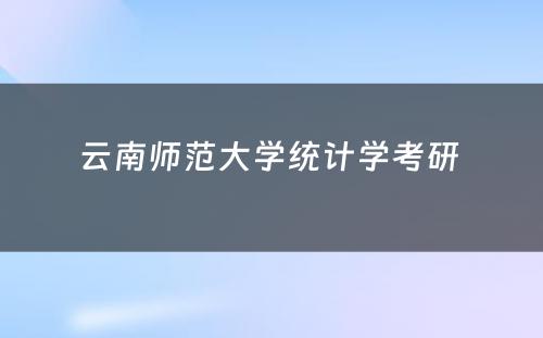 云南师范大学统计学考研 