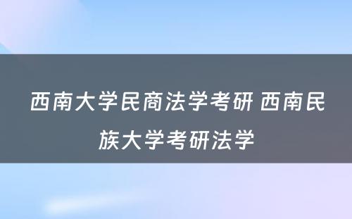 西南大学民商法学考研 西南民族大学考研法学