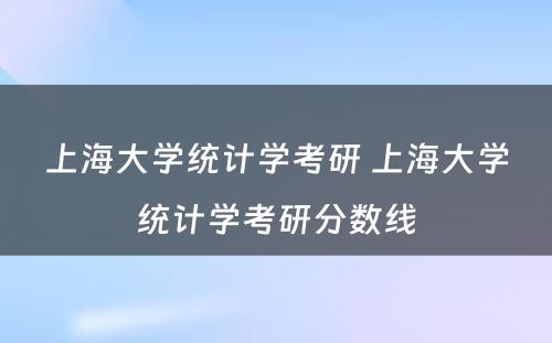 上海大学统计学考研 上海大学统计学考研分数线