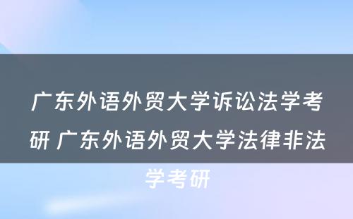 广东外语外贸大学诉讼法学考研 广东外语外贸大学法律非法学考研