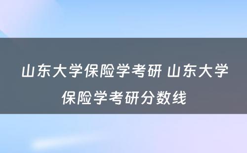 山东大学保险学考研 山东大学保险学考研分数线