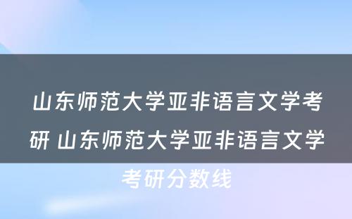 山东师范大学亚非语言文学考研 山东师范大学亚非语言文学考研分数线