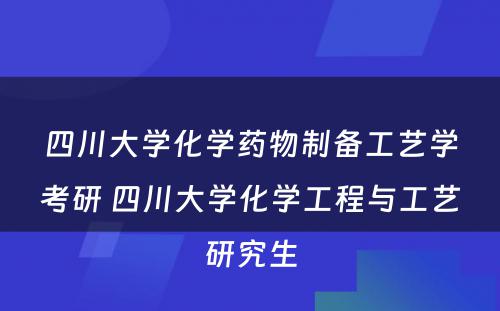 四川大学化学药物制备工艺学考研 四川大学化学工程与工艺研究生