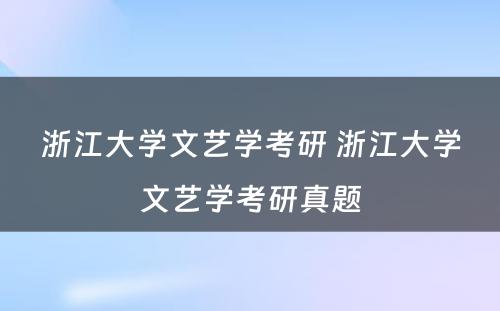 浙江大学文艺学考研 浙江大学文艺学考研真题