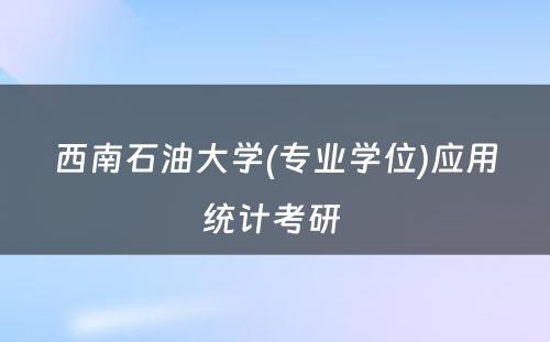 西南石油大学(专业学位)应用统计考研 