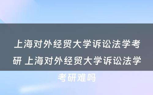 上海对外经贸大学诉讼法学考研 上海对外经贸大学诉讼法学考研难吗