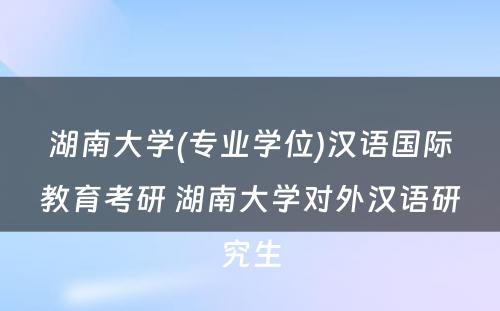 湖南大学(专业学位)汉语国际教育考研 湖南大学对外汉语研究生