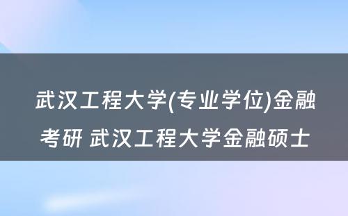 武汉工程大学(专业学位)金融考研 武汉工程大学金融硕士