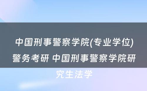 中国刑事警察学院(专业学位)警务考研 中国刑事警察学院研究生法学