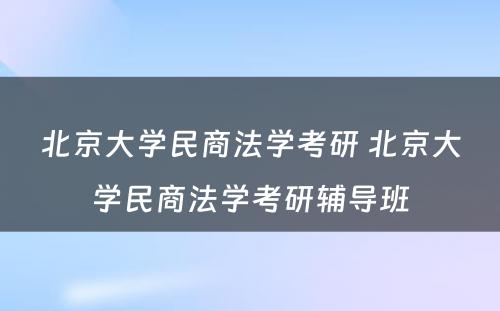 北京大学民商法学考研 北京大学民商法学考研辅导班