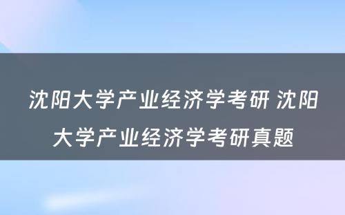 沈阳大学产业经济学考研 沈阳大学产业经济学考研真题