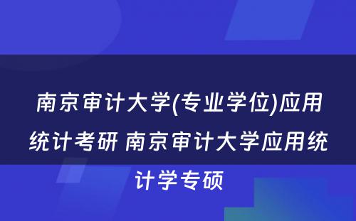 南京审计大学(专业学位)应用统计考研 南京审计大学应用统计学专硕