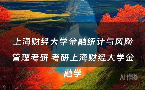 上海财经大学金融统计与风险管理考研 考研上海财经大学金融学