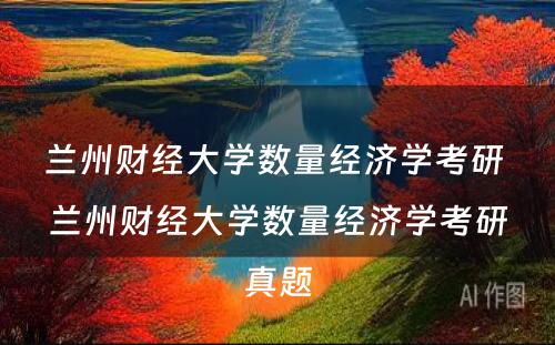 兰州财经大学数量经济学考研 兰州财经大学数量经济学考研真题