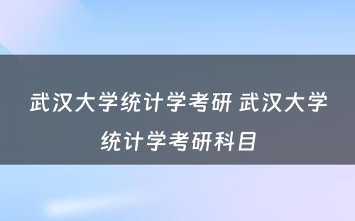 武汉大学统计学考研 武汉大学统计学考研科目