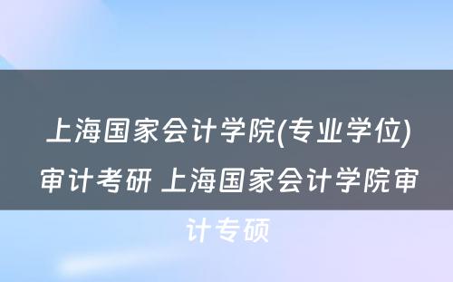 上海国家会计学院(专业学位)审计考研 上海国家会计学院审计专硕