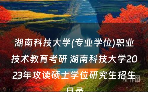 湖南科技大学(专业学位)职业技术教育考研 湖南科技大学2023年攻读硕士学位研究生招生目录