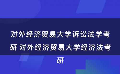 对外经济贸易大学诉讼法学考研 对外经济贸易大学经济法考研