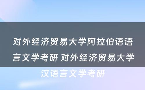 对外经济贸易大学阿拉伯语语言文学考研 对外经济贸易大学汉语言文学考研