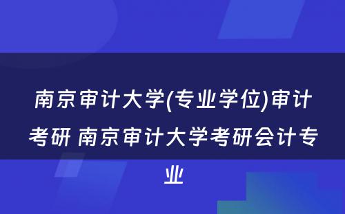 南京审计大学(专业学位)审计考研 南京审计大学考研会计专业