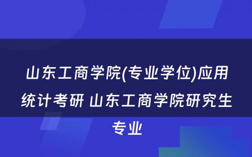 山东工商学院(专业学位)应用统计考研 山东工商学院研究生专业